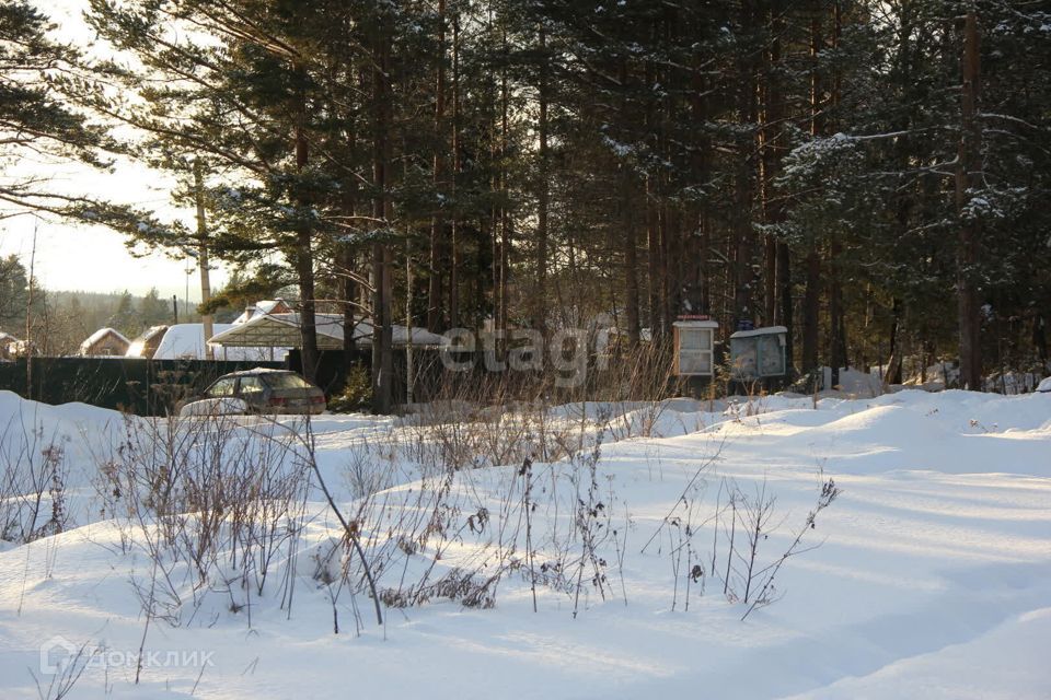 земля городской округ Нижний Тагил, коллективный сад № 15А НТМК фото 9