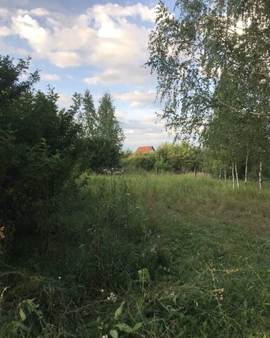 земля с Высокая Гора Бирюлинское сельское поселение фото