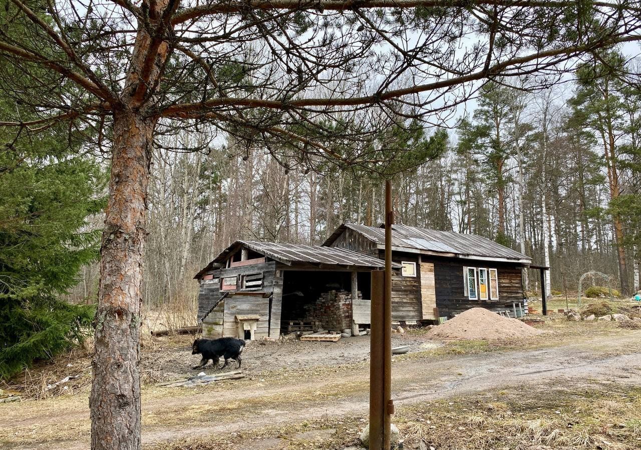 дом р-н Выборгский п Возрождение Каменногорское городское поселение, Каменногорск фото 35