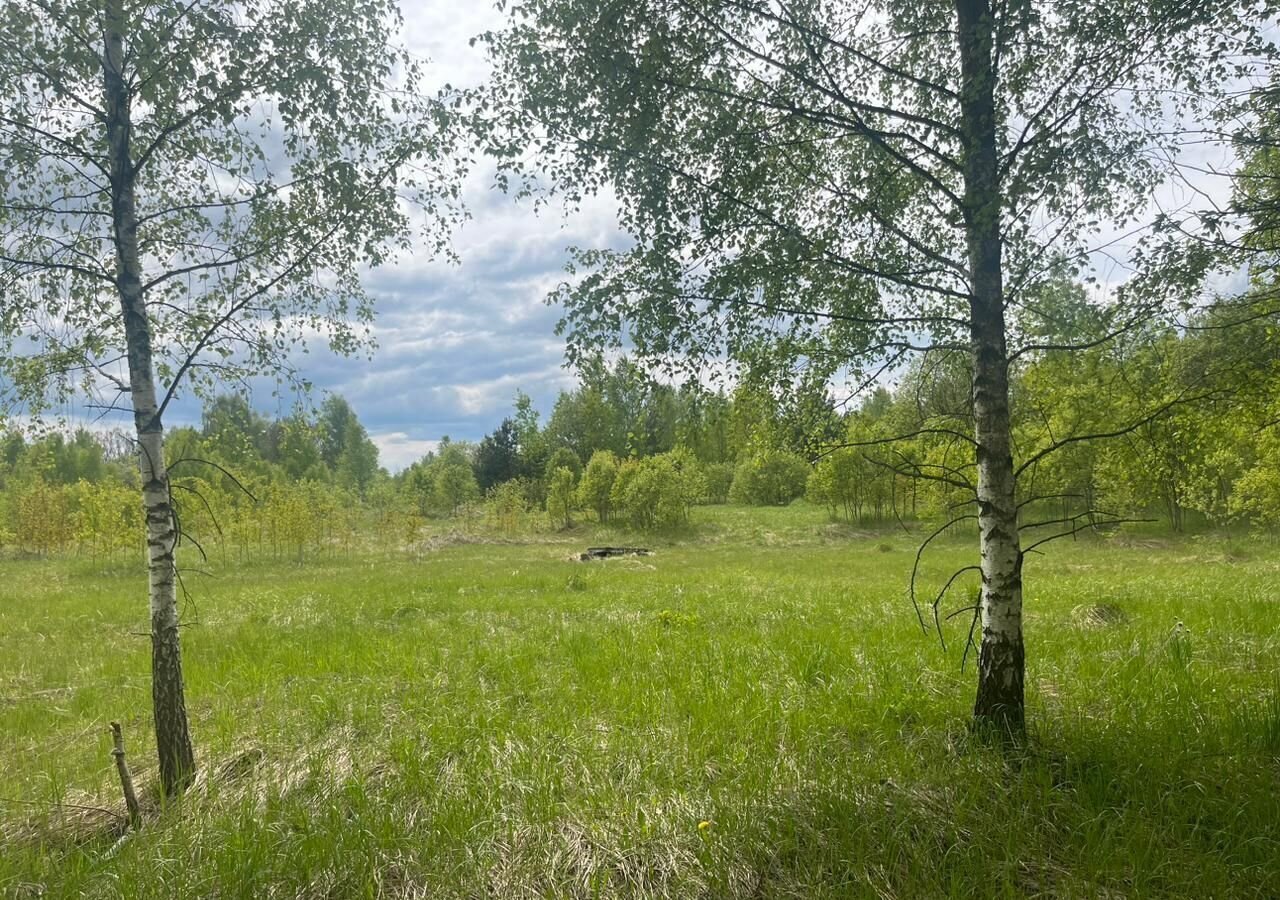 земля городской округ Чехов п Любучаны территориальный отдел Любучанский, г. о. Чехов фото 1