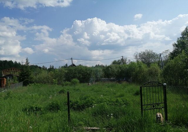 земля Толмачёвское городское поселение, Толмачево фото