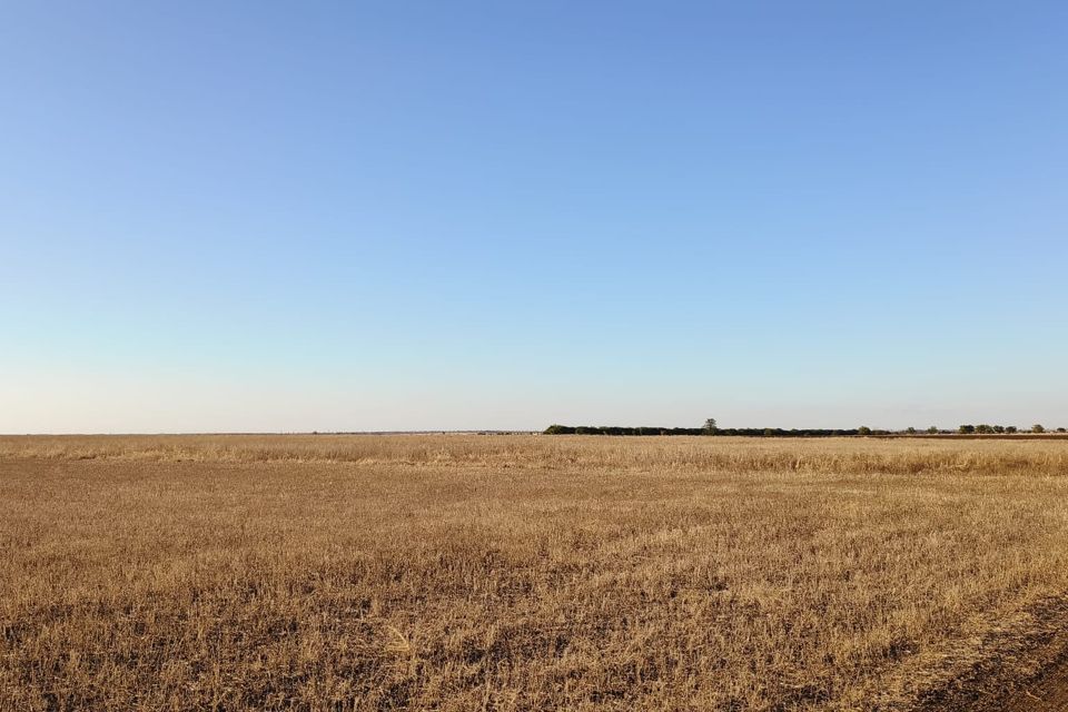 земля р-н Красногвардейский Краснознаменское сельское поселение фото 1