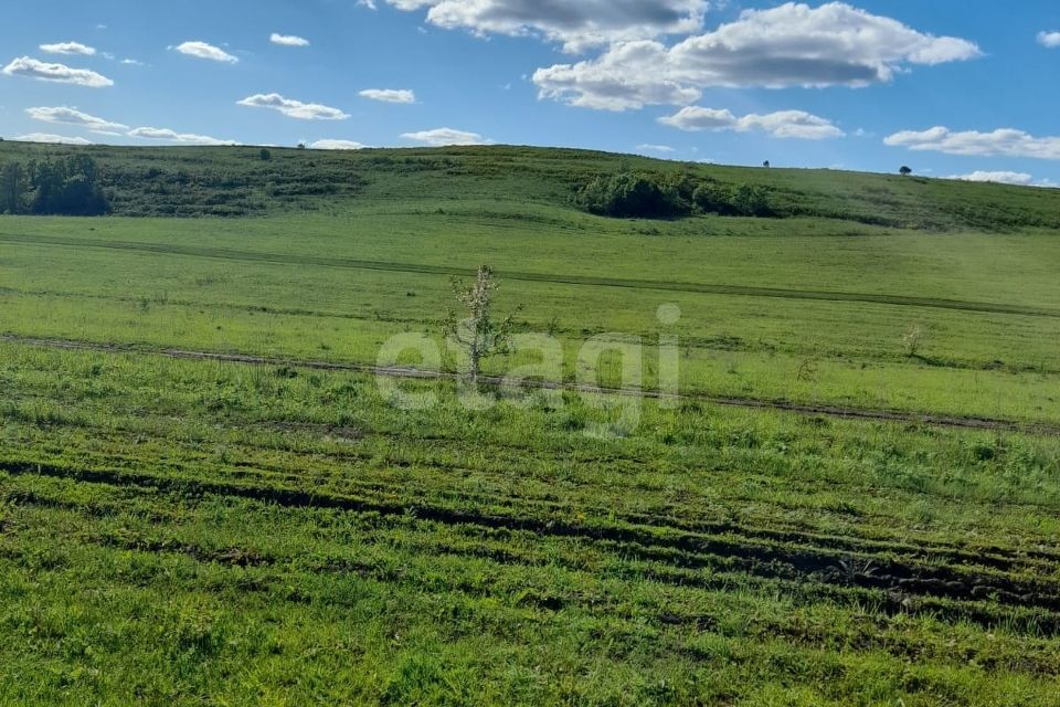 земля р-н Гафурийский СТ Медик фото 7