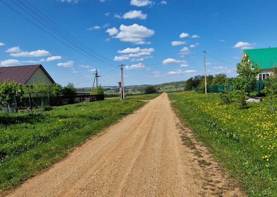 дом р-н Кармаскалинский д Никифоровка ул Дачная 6 фото 2