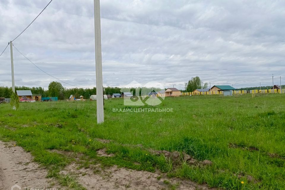 земля р-н Новосибирский с Плотниково ул Мира фото 6