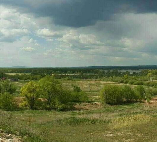 Бурнашевское сельское поселение, Нижние Вязовые фото