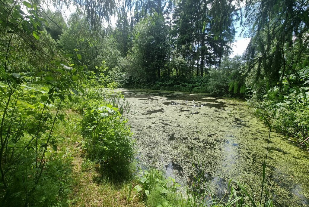 дом городской округ Рузский п Бабаево снт Бабаево ул 2-я Радиальная фото 27