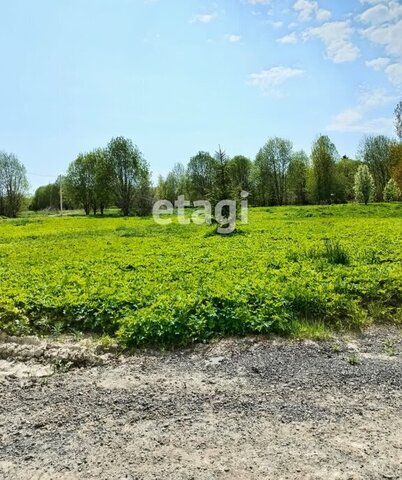 п Дачное Лесколовское сельское поселение, некоммерческое партнёрство Финские Холмы фото