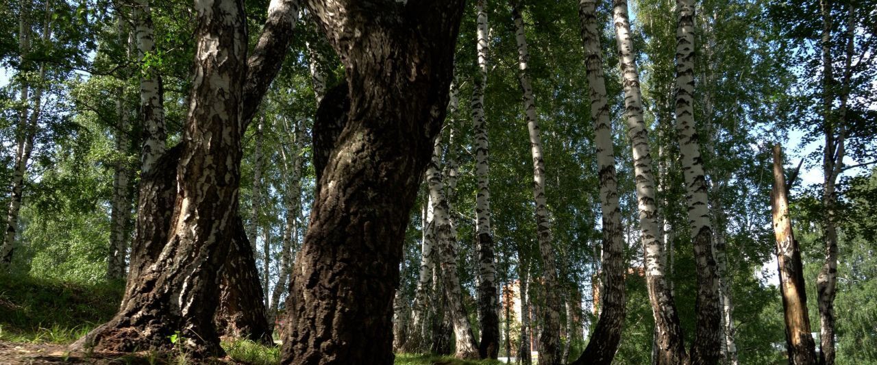 квартира г Новосибирск Заельцовская ул Лобачевского 51/2 фото 16