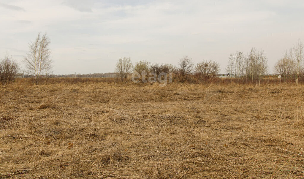земля г Тюмень территория Ирбитский Тракт, Слева от Дороги, 3-й километр от Рощинского Кольца фото 3