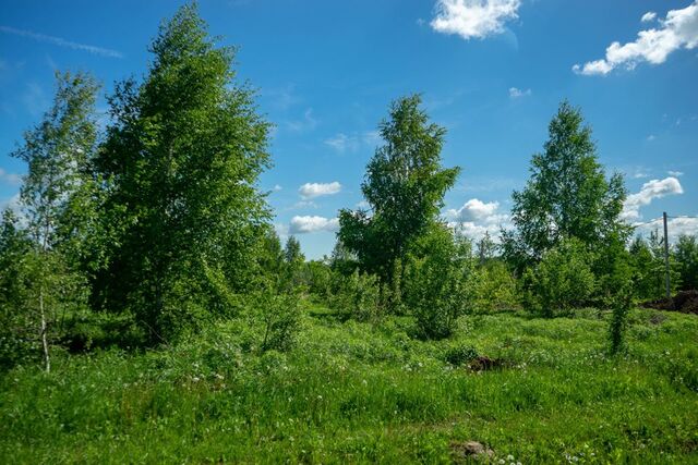 земля коттеджный посёлок Берёзовка-парк фото