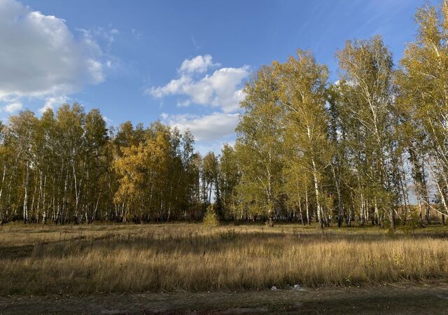 земля д Ракитинка Пушкинское сельское поселение, Счастливая ул, Омск фото