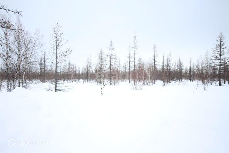 земля г Новый Уренгой снт ДНТ Фемида ул 1-я Центральная городской округ Новый Уренгой фото 8