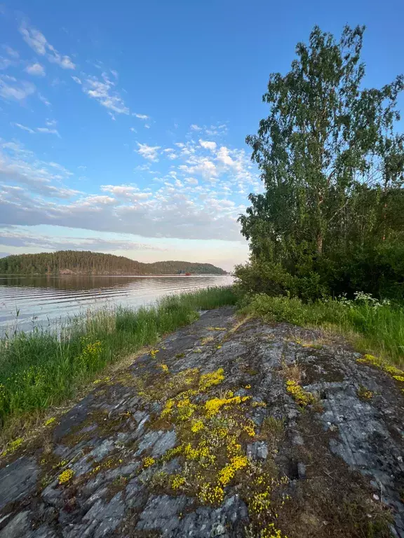 дом р-н Питкярантский д Кирконкюля - улица, 11 фото 14