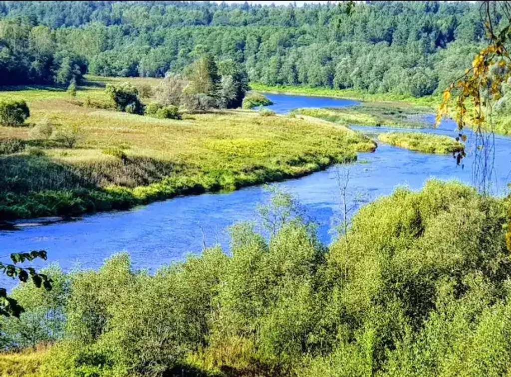 дом р-н Юхновский д Батино ул Лесная 46 Юхнов фото 6