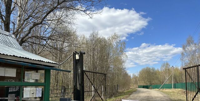 земля снт Калинка муниципальное образование Каринское, Струнино фото