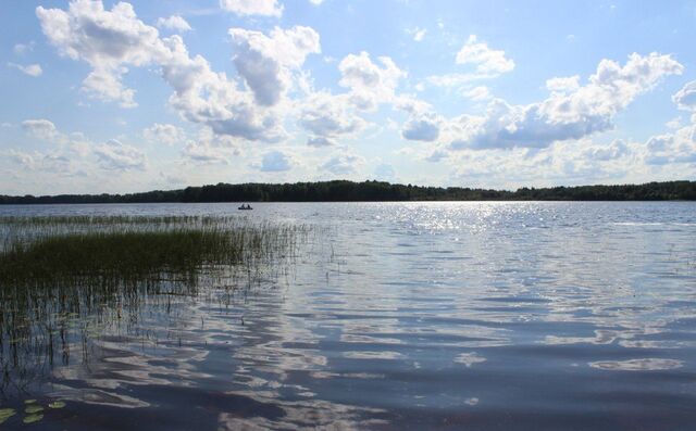 земля Винницкое сельское поселение, озеро, Озерское фото