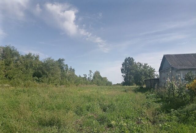 земля с Новоархангельское Первомайский, Первомайский муниципальный округ фото