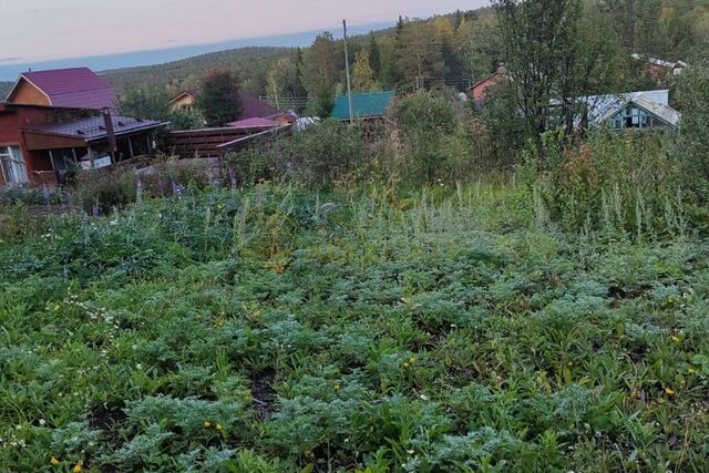 городской округ Ревда, садово-огородническое товарищество Рябинка фото