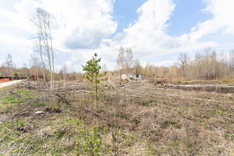 земля г Тобольск садоводческое товарищество Южанка, городской округ Тобольск фото 10