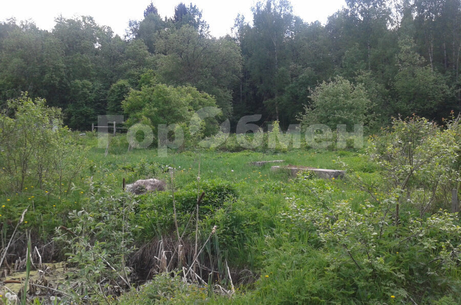 земля городской округ Сергиево-Посадский садовое товарищество Птицевод-2 фото 5