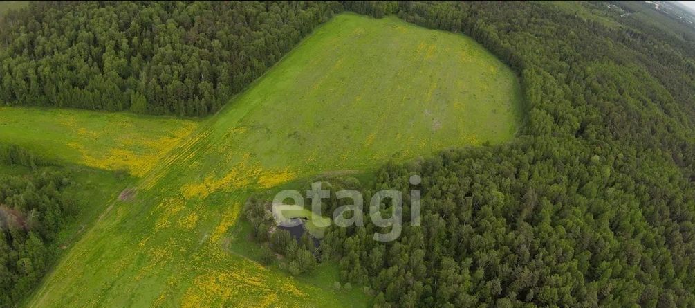 земля городской округ Пушкинский Сова кп фото 1