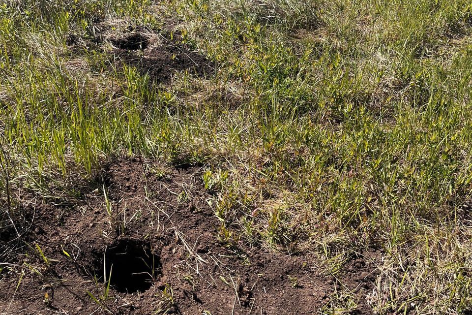 земля г Самара р-н Красноглинский городской округ Самара, микрорайон Орловский фото 5