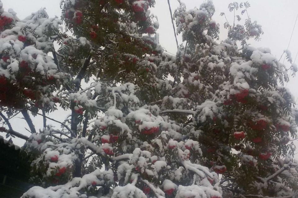 дом г Тюмень ул Антипинская 17 городской округ Тюмень фото 6