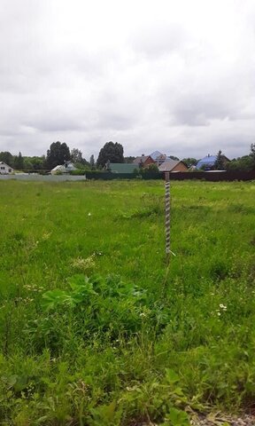 Новоталицкое сельское поселение, Ново-Талицы фото Новоталицкое сельское поселение, Ново-Талицы фото