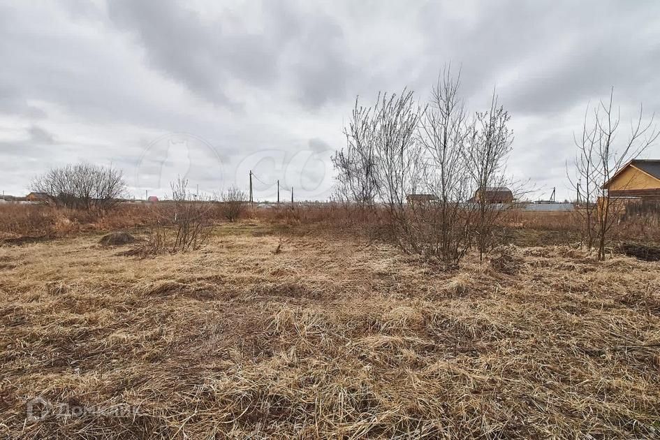 земля г Тюмень городской округ Тюмень, садоводческое некоммерческое товарищество Большое Царёво-2 фото 2