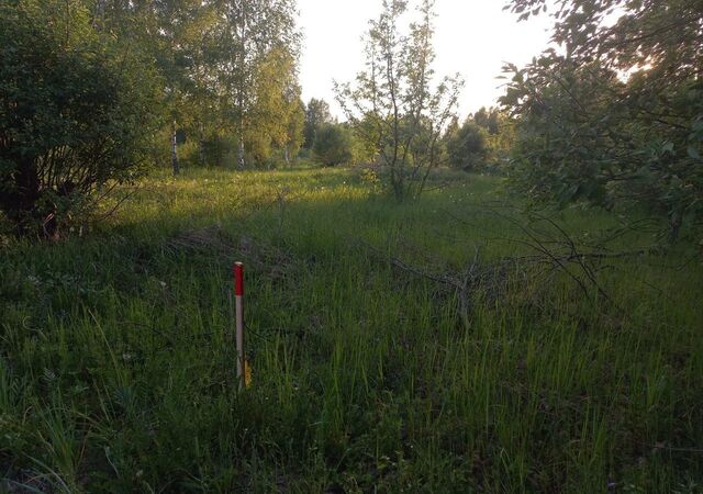 муниципальное образование Андреевское, Александров фото муниципальное образование Андреевское, Александров фото