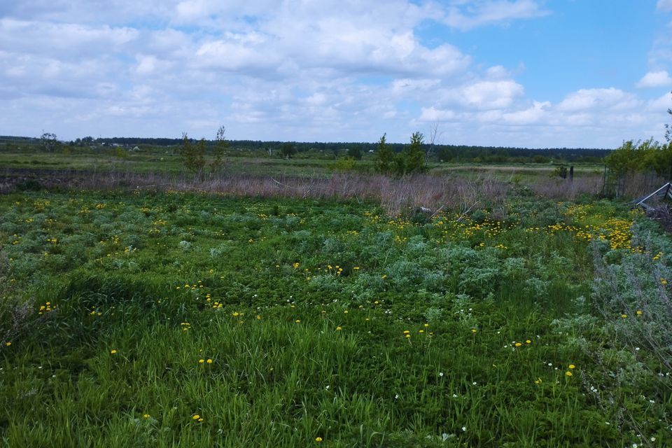 земля г Новоалтайск городской округ Новоалтайск, поселок Токарево фото 1