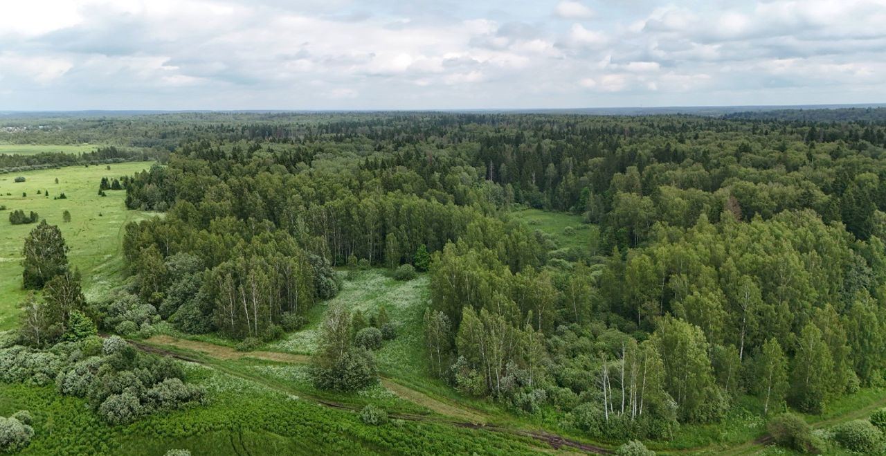 земля городской округ Истра д Кореньки 59, г. о. Истра, Новопетровское фото 4