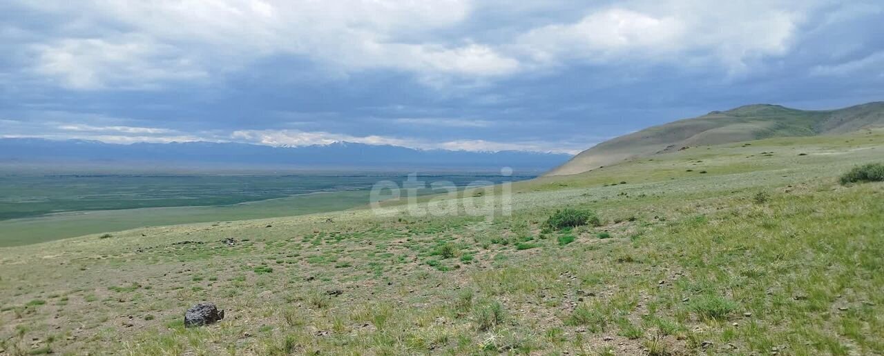 земля р-н Кош-Агачский с Теленгит-Сортогой Кош-Агач фото 3