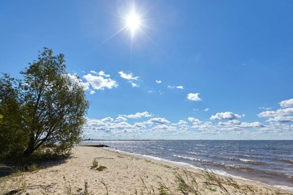 земля р-н Городецкий деревня Вашуриха, 6 фото 3