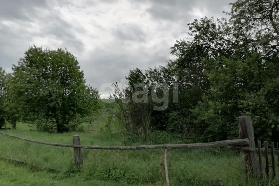 земля р-н Алтайский с Куяган ул Партизанская фото 9