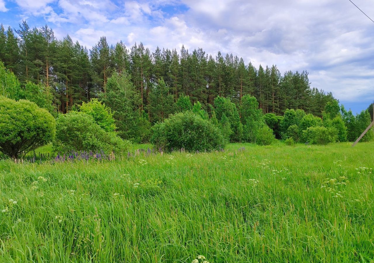 земля р-н Тосненский г Любань Любанское городское поселение фото 18