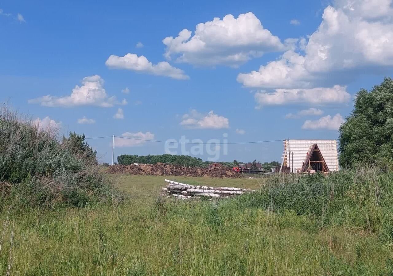 земля р-н Тамбовский с Большая Талинка ул Лазурная 12 Бондари, деревня Марьевка фото 5