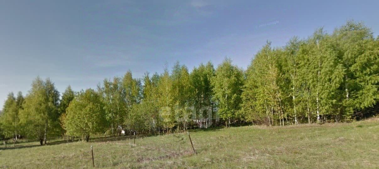 земля р-н Соликамский с Городище Соликамский городской округ фото 4