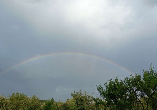 ул 50 лет ВЛКСМ 24 Григорьевское сельское поселение, Григорьевская фото ул 50 лет ВЛКСМ 24 Григорьевское сельское поселение, Григорьевская фото