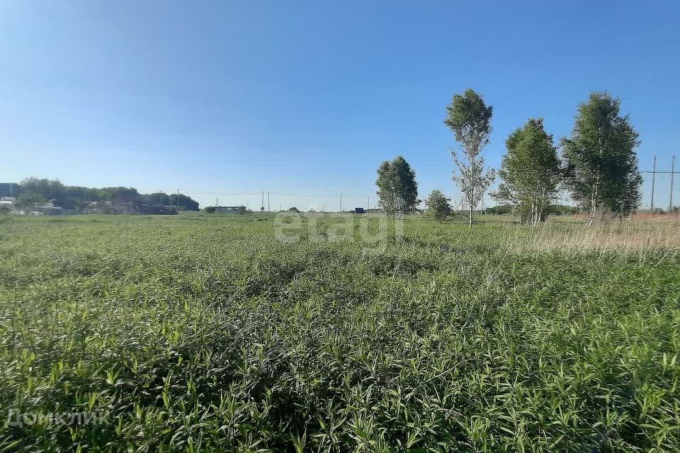 земля Светловский городской округ, посёлок Песчаное фото 5