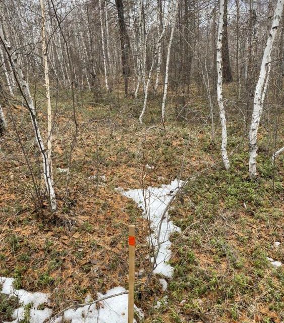 земля г Якутск тракт Вилюйский городской округ Якутск фото 6