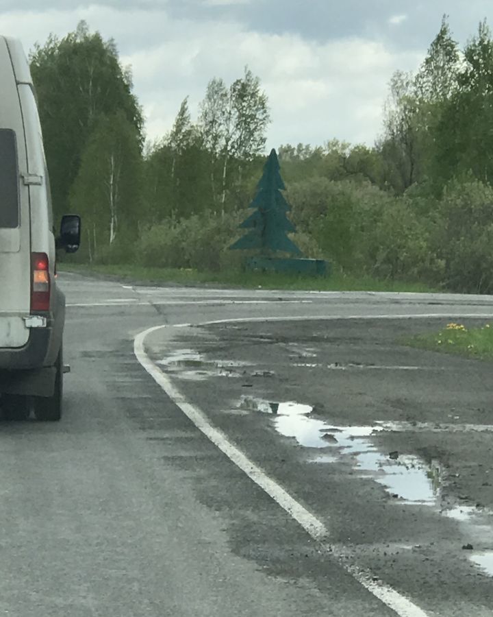 земля р-н Нижнетавдинский снт Здоровье-3 Тюмень фото 2