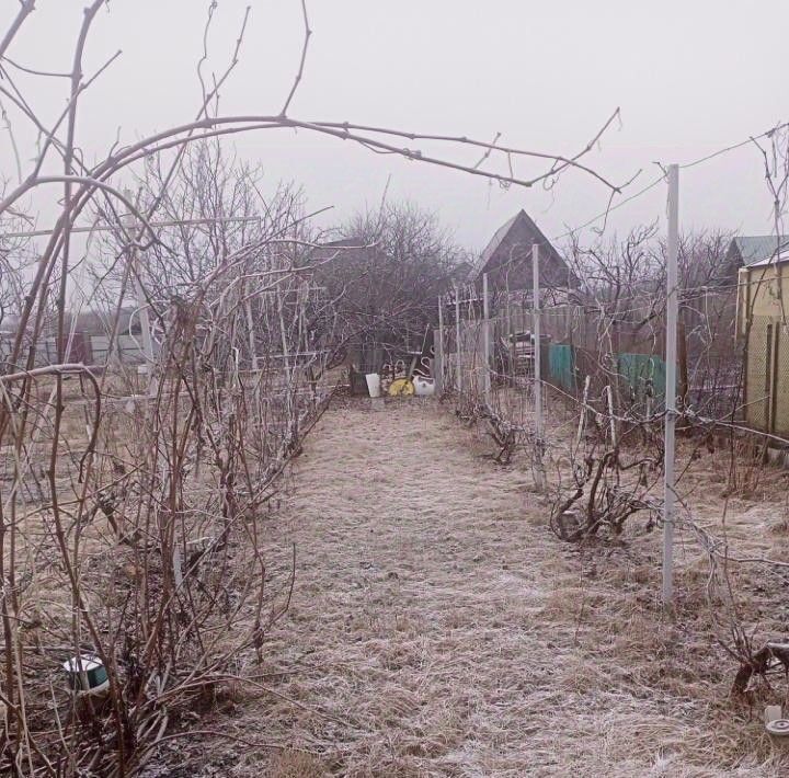 дом р-н Белгородский с Таврово Тавровское с/пос, Опенок садовое товарищество фото 17