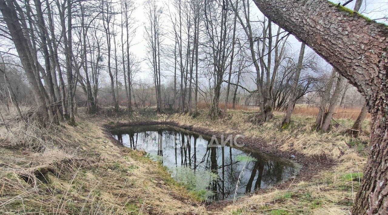 дом р-н Багратионовский п Долгоруково ул Советская 15 Багратионовский муниципальный округ фото 45