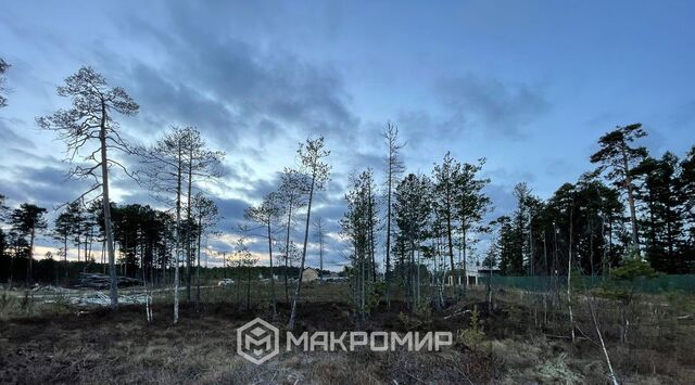№ 6 Витамин потребительский садово-огороднический кооператив, 1-я линия, 6 фото