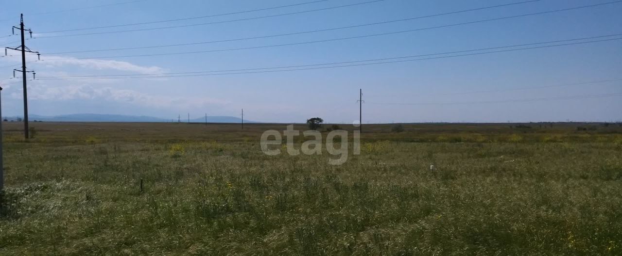 земля г Феодосия с Береговое ул Боевая край Приморский, г Фокино, Крым фото 3