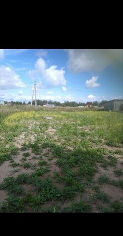 земля д Милославское Ракомское сельское поселение, 10, Великий Новгород фото