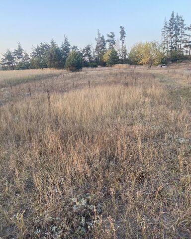 дом 81 Новоживотинновское сельское поселение, Воронеж фото дом 81 Новоживотинновское сельское поселение, Воронеж фото