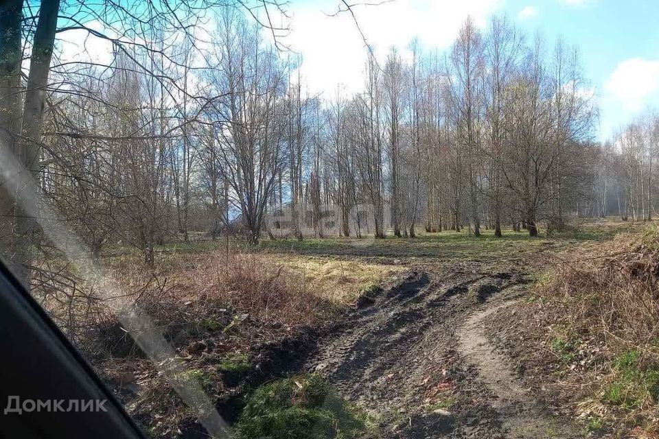 земля р-н Гвардейский посёлок Комсомольск фото 3